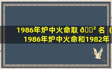 1986年炉中火命取 🌲 名（1986年炉中火命和1982年大海水）